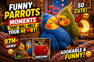 How to Create Viral Cute Bird Couple AI Videos: Complete Tutorial (2026) How to Create Viral Cute Bird Couple AI Videos: Complete Tutorial (2026)